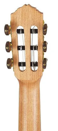 Ortega RGL5EB Timber Series Гиталеле.